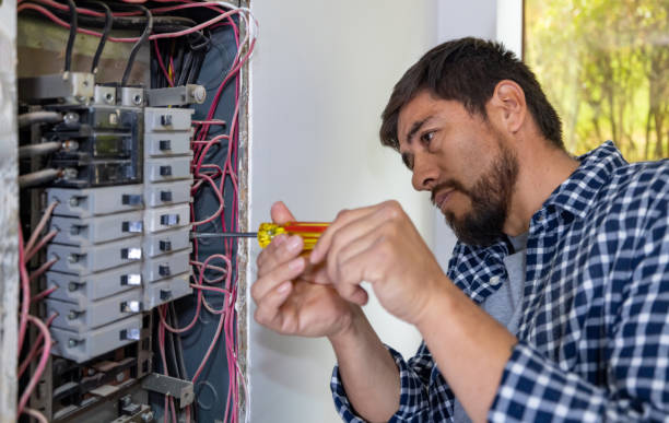 Best Electrician for Home Renovation  in Woodbine, NJ